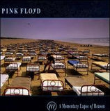 Pink Floyd - A Momentary Lapse of Reason - CD