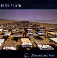 Pink Floyd - A Momentary Lapse of Reason - CD