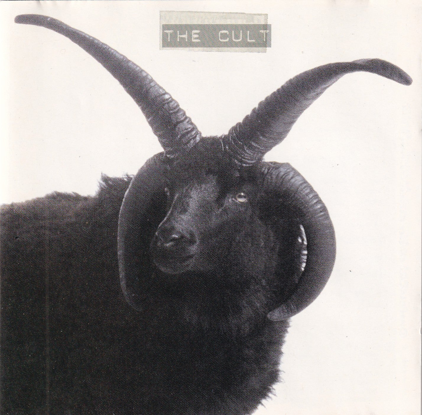 The Cult - The Cult - CD