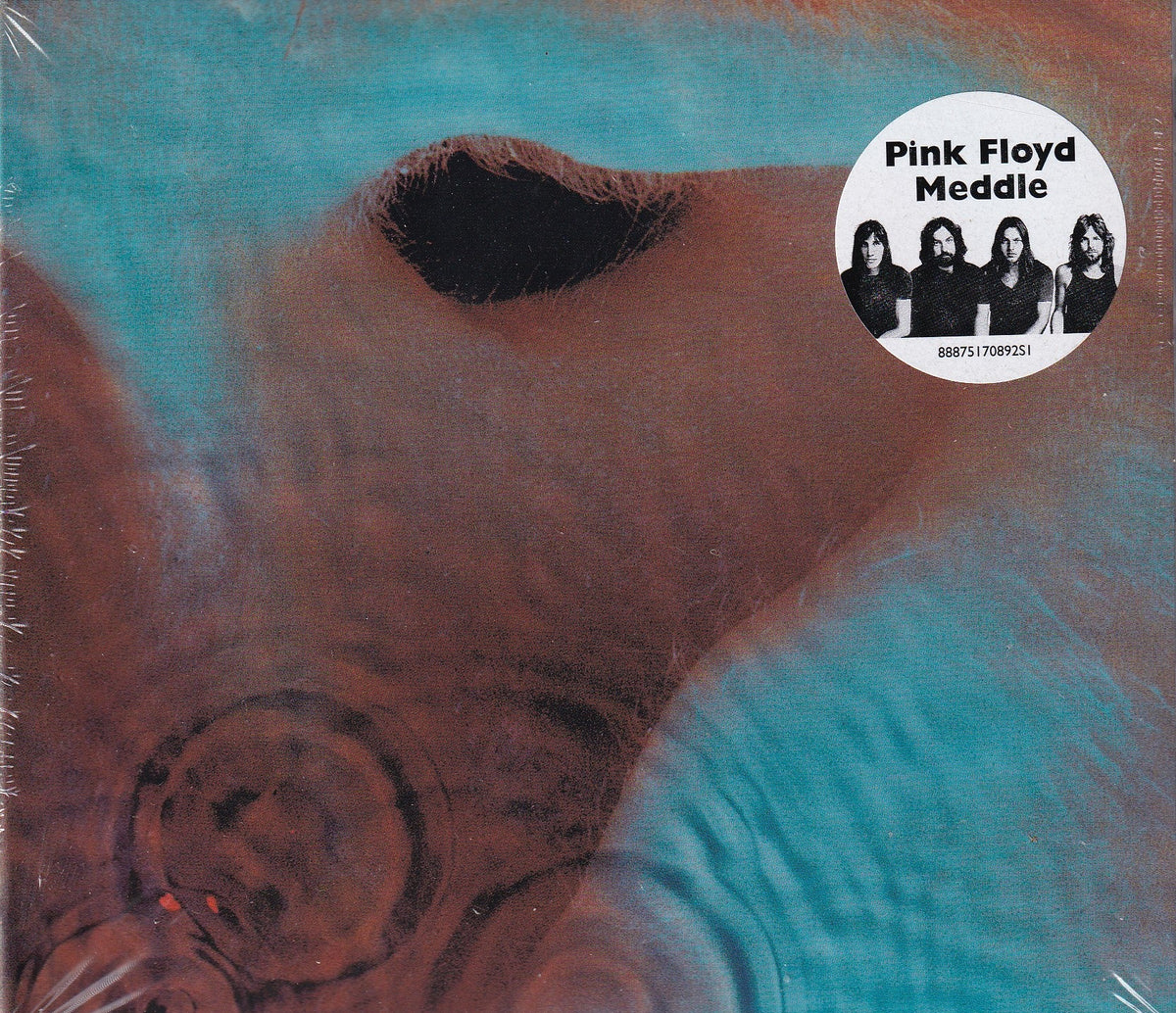Pink Floyd 'Meddle' vinyl record cover artwork, showing abstract turquoise and brown abstract shapes with a circular white sticker containing the band members' photo and the title 'Pink Floyd Meddle'.