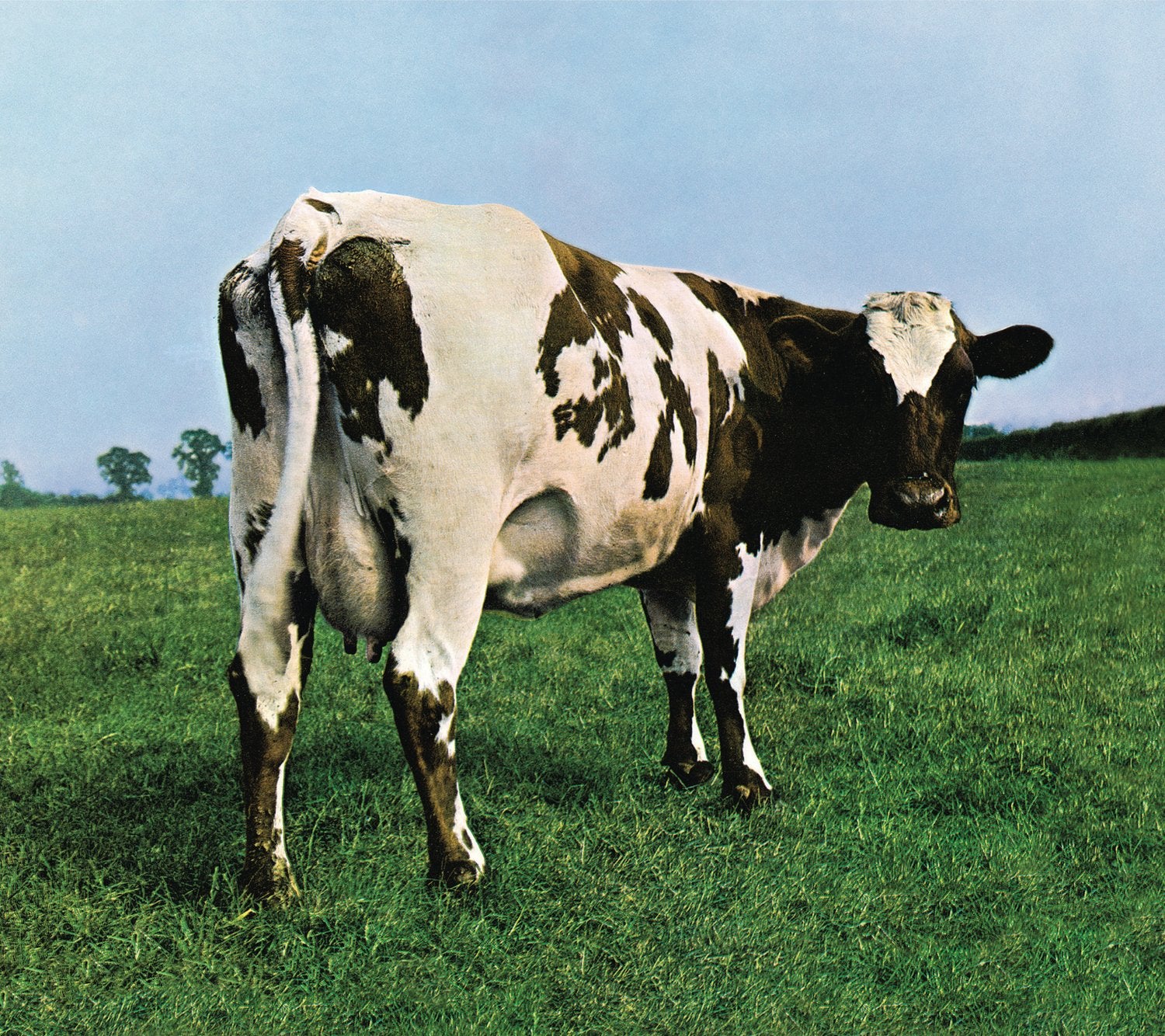 Pink Floyd - Atom Heart Mother - CD the-cd-exchange