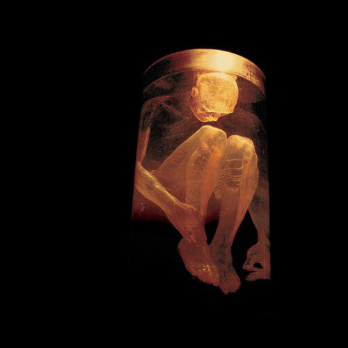 Alice in Chains - Nothing Safe: Best of - CD