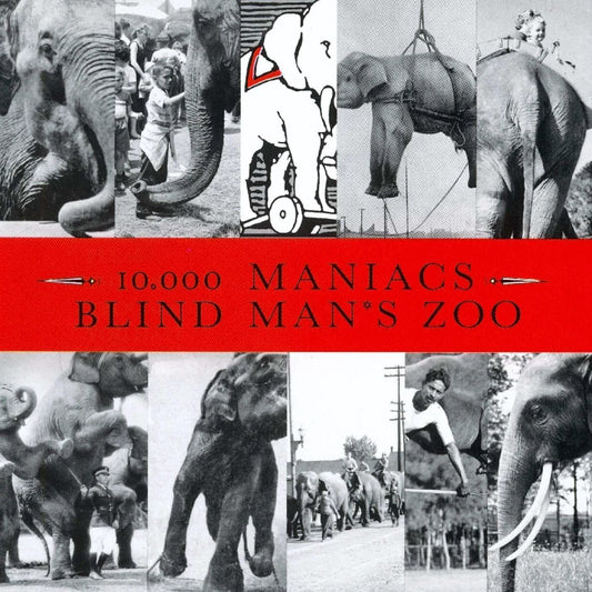 10,000 Maniacs - Blind Man's Zoo - CD