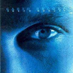 Garth Brooks - Fresh Horses - CD,CD,The CD Exchange