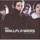 Wallflowers - Red Letter Days - CD,CD,The CD Exchange