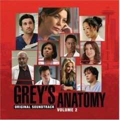 Soundtrack - Grey's Anatomy Vol.2 - CD,CD,The CD Exchange