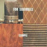 For Squirrels | Example - The CD Exchange