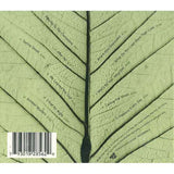 Dar Williams - The Green World - CD - The CD Exchange