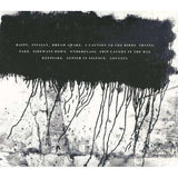 Frames, The | Burn The Maps - The CD Exchange