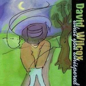 David Wilcox - What You Whispered - CD