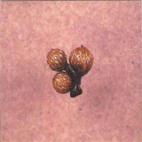 Big Sur - Und Die Scheibe Andert Sichimmerb- CD - The CD Exchange