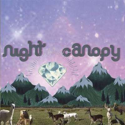 Night Canopy | Of Honey And Country - The CD Exchange