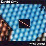 David Gray - White Ladder - Used CD - The CD Exchange