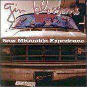 Gin Blossoms - New Miserable Experience - CD,CD,The CD Exchange