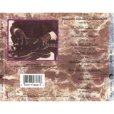 John Lee Hooker - The Healer - CD - The CD Exchange