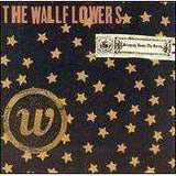 Wallflowers - Bringing Down The Horse - Used CD - The CD Exchange